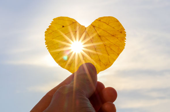 Foto: Blatt in Herzform, wird von Hand gehalten, Sonne scheint durch das Blatt