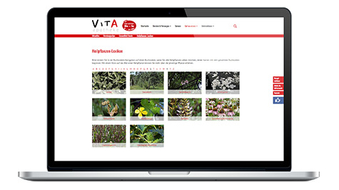 Vita-Apotheke - Relaunch of the website with TYPO3 Mounting: Laptop with website open
